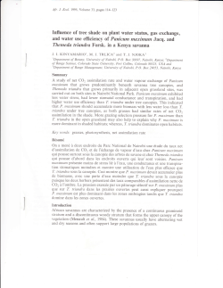 Influence of tree shade on plant water status, gas
