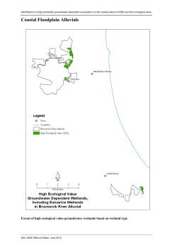 Appendix 12: Coastal Floodplain Alluvials