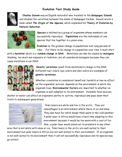Evolution Test Study Guide