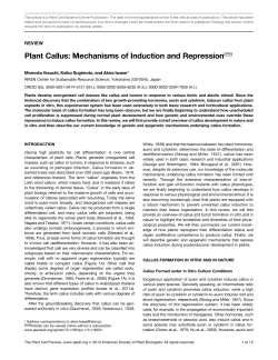 Plant Callus: Mechanisms of Induction and