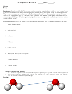 CP Properties of Water Lab