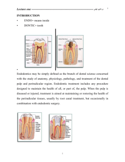 The morphological knowledge of root canals is indispensable and