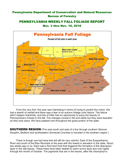 pennsylvania weekly fall foliage report