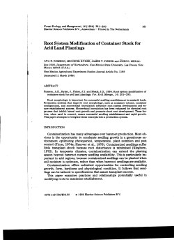 Root system modification of container stock for arid land plantings