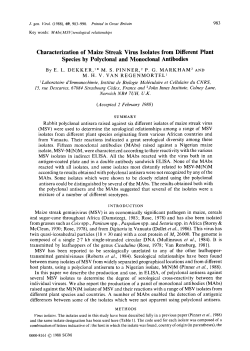 Characterization of Maize Streak Virus Isolates from Different Plant
