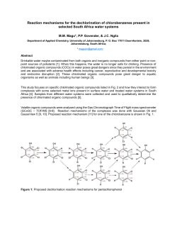 Magu, Martin : Reaction mechanisms for the dechlorination of