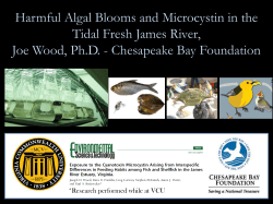Harmful Algal Blooms in the Tidal Fresh James River: Microcysin