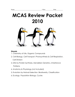 MCAS Review Packet 2010 Strands