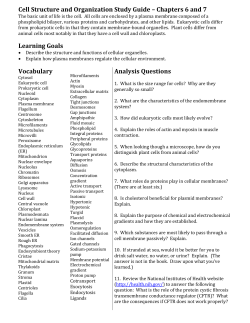 Cell Structure and Organization Study Guide