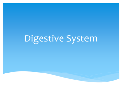 Digestive System