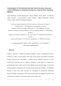 Investigation of the Electrochemical Active Surface Area and Lithium