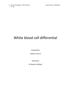 Differential White Blood Cells Count