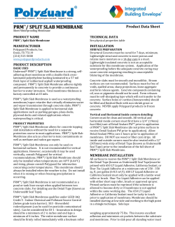 PRM/Protected Wall Membrane