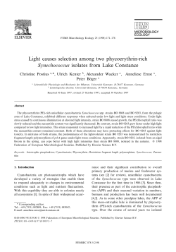 Light causes selection among two phycoerythrin