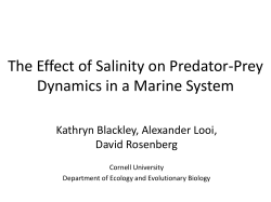 The Effect of Salinity on Predator