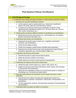 Plant Systems Pathway Blueprint
