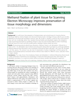 Methanol fixation of plant tissue for Scanning Electron Microscopy