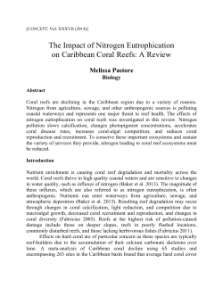 The Impact of Nitrogen Eutrophication on Caribbean Coral Reefs: A