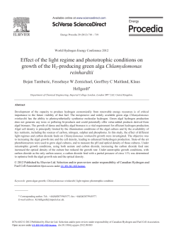 Effect of the Light Regime and Phototrophic Conditions on Growth of