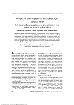 The plasma membrane of the rabbit lens cortical fiber. I