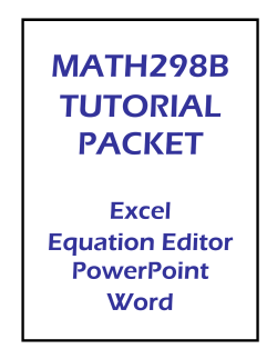 Excel Equation Editor PowerPoint Word