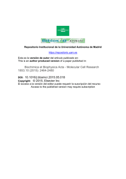Biochimica et Biophysica Acta - Molecular Cell Research 1853.10