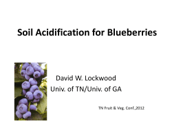 Soil Acidification for Blueberries - University of Tennessee Extension