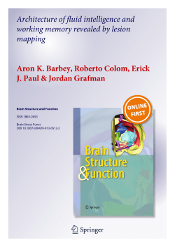 Architecture of fluid intelligence and working memory revealed by