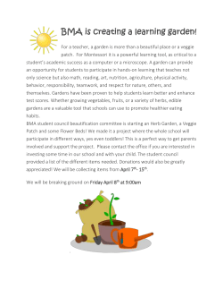 Learning Garden - Brownsville Montessori Academy