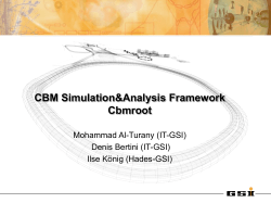 CBM Simulation Framework