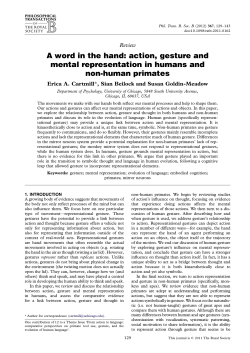 A word in the hand: action, gesture and mental representation in