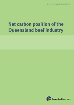 Net carbon position of the Queensland beef industry