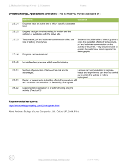 Enzymes 2.5 worksheet