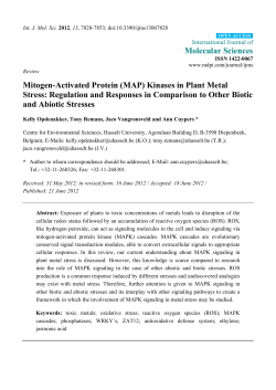 Mitogen-Activated Protein (MAP) Kinases in Plant Metal Stress