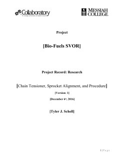 Primary Heading &ndash; Research for Chain Tensioners