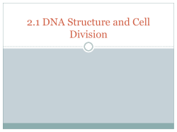 2.1 DNA Structure and Cell Division