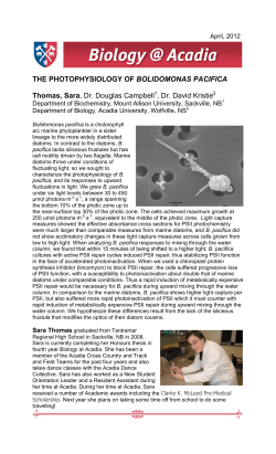 Thomas, Sara - Acadia Biology