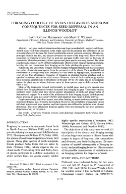Foraging Ecology of Avian Frugivores and Some Consequences for