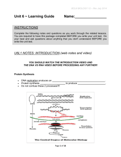 PROTEIN SYNTHESIS - BC Learning Network