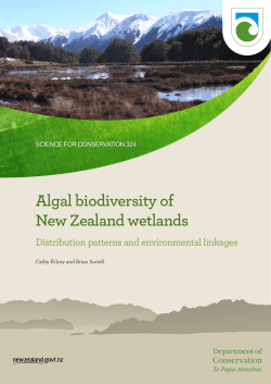 Algal biodiversity of New Zealand wetlands