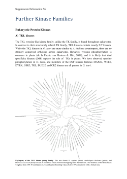 Eukaryotic Protein Kinases