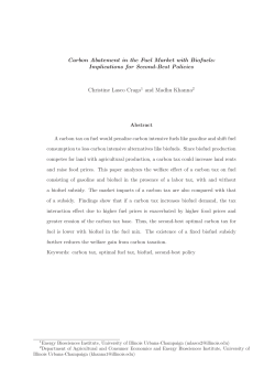 Carbon Abatement in the Fuel Market with Biofuels: Implications for