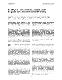 Parathyroid Hormone Bone Anabolic Action Requires Cbfa1/Runx2