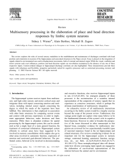 Multisensory processing in the elaboration of place