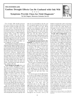 Drought Effects Can Be Confused with Oak Wilt Symptoms Provide