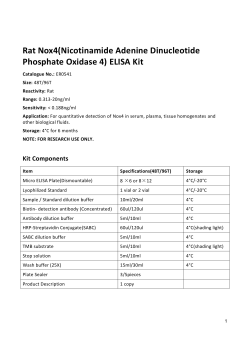 Rat Nox4(Nicotinamide Adenine Dinucleotide