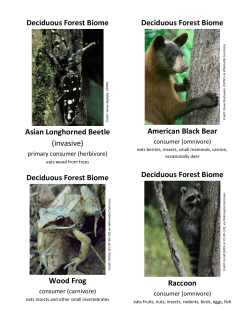 Deciduous Forest Biome organism cards