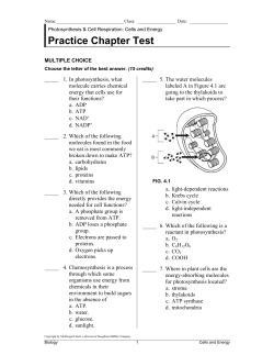 Practice Chapter Test