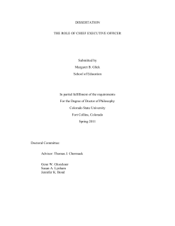 DISSERTATION THE ROLE OF CHIEF EXECUTIVE