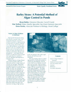 Barley Straw: A Potential Method of Algae